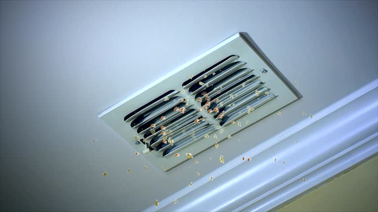 Best Ventilation Cleaning Services  in Bremen, GA