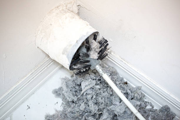 Best Professional Duct Cleaning Services  in Bremen, GA
